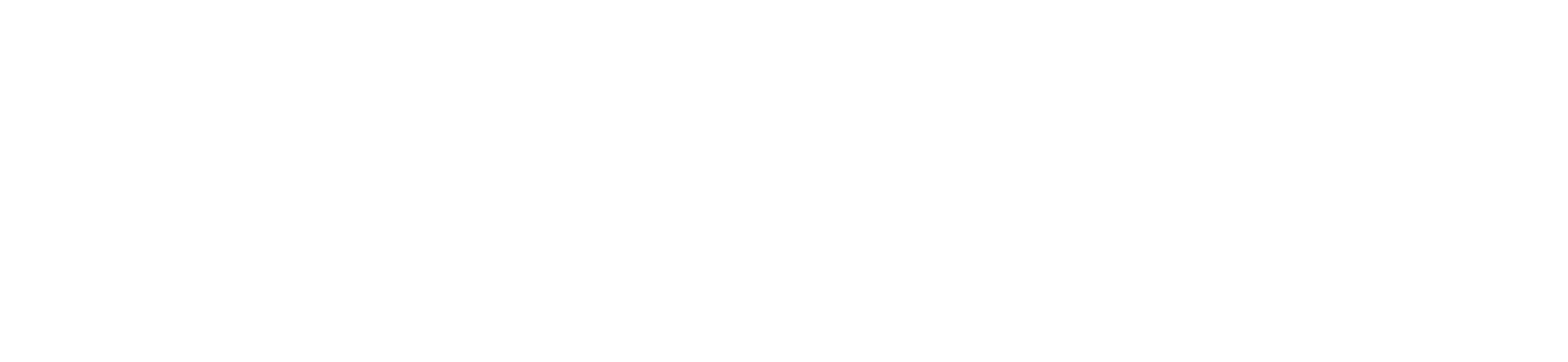 Zayoma Logo